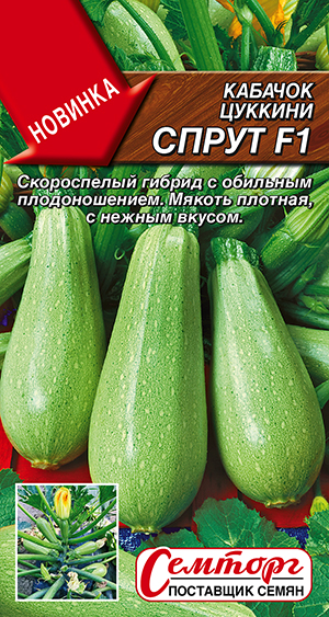 Кабачок цуккини Спрут F1 Кабачок цуккини Спрут F1
