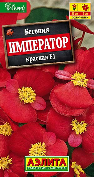 Бегония вечноцветущая Император красная F1 Бегония вечноцветущая Император красная F1