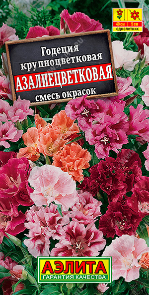 Годеция азалиецветковая махровая, смесь сортов - фото Годеция азалиецветковая махровая, смесь сортов - фото