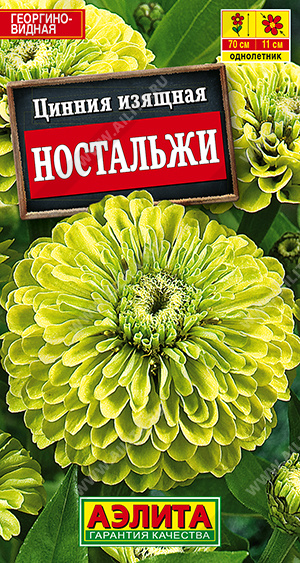 Цинния Ностальжи - фото Цинния Ностальжи - фото