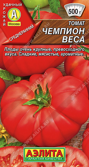 Томат Чемпион веса - фото Томат Чемпион веса - фото