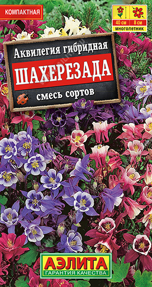 Аквилегия Шахерезада, смесь сортов - фото Аквилегия Шахерезада, смесь сортов - фото
