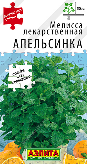 Мелисса лекарственная Апельсинка - фото Мелисса лекарственная Апельсинка - фото