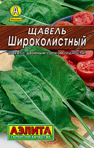 Щавель Широколистный - фото Щавель Широколистный - фото