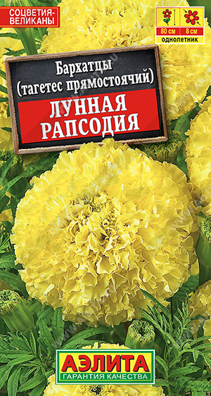 Бархатцы Лунная рапсодия прямостоячие - фото Бархатцы Лунная рапсодия прямостоячие - фото