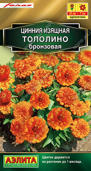 Цинния Тополино бронзовая - фото Цинния Тополино бронзовая - фото