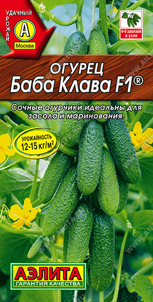 Огурец Баба Клава F1® - фото Огурец Баба Клава F1® - фото