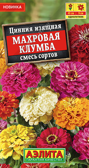 Цинния Махровая клумба, смесь сортов - фото Цинния Махровая клумба, смесь сортов - фото