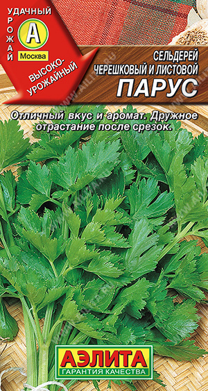 Сельдерей листовой Парус - фото Сельдерей листовой Парус - фото