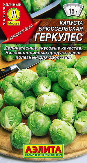 Капуста брюссельская Геркулес - фото Капуста брюссельская Геркулес - фото