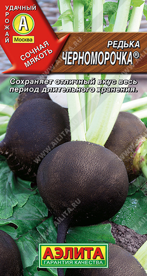 Редька Черноморочка - фото Редька Черноморочка - фото