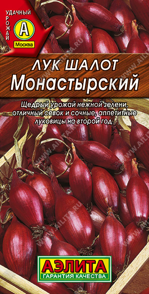 Лук шалот Монастырский - фото Лук шалот Монастырский - фото
