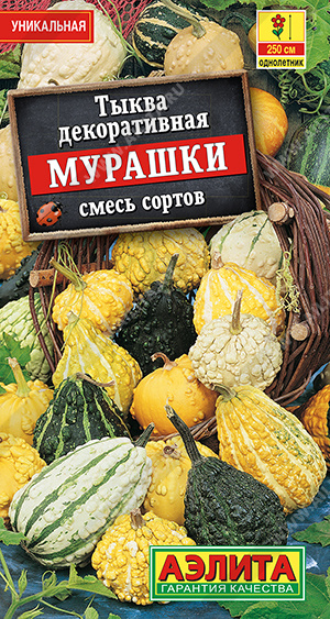 Тыква декоративная Мурашки, смесь сортов - фото Тыква декоративная Мурашки, смесь сортов - фото