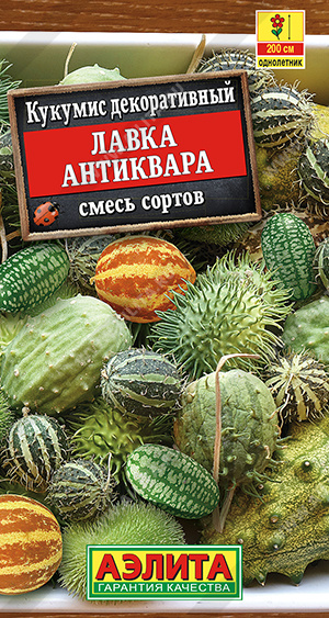 Кукумис декоративный Лавка антиквара, смесь сортов - фото Кукумис декоративный Лавка антиквара, смесь сортов - фото