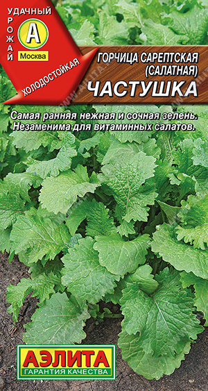 Горчица салатная Частушка - фото Горчица салатная Частушка - фото