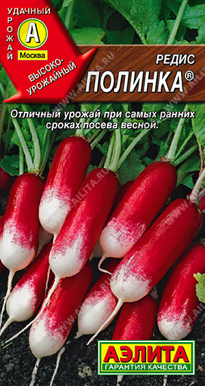 Редис Полинка - фото Редис Полинка - фото