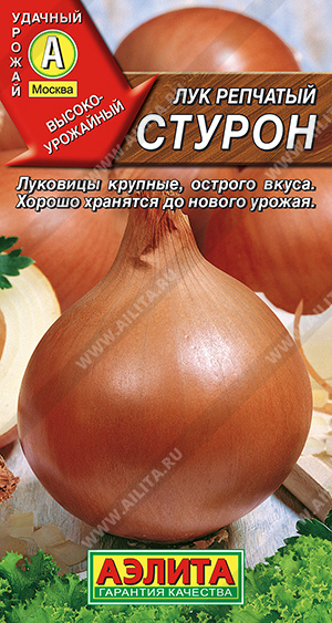 Лук репчатый Стурон - фото Лук репчатый Стурон - фото