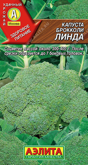 Капуста брокколи Линда - фото Капуста брокколи Линда - фото