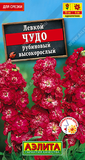 Левкой высокорослый Чудо рубиновый - фото Левкой высокорослый Чудо рубиновый - фото