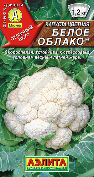Капуста цветная Белое облако ® - фото Капуста цветная Белое облако ® - фото