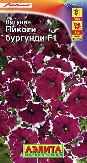 Петуния Пикоти бургунди F1 многоцветковая - фото Петуния Пикоти бургунди F1 многоцветковая - фото
