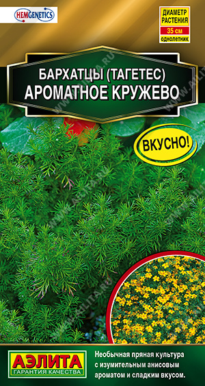 Бархатцы Ароматное кружево - фото Бархатцы Ароматное кружево - фото