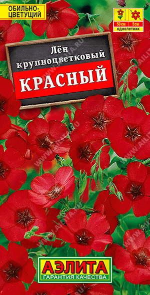 Лен крупноцветковый Красный - фото Лен крупноцветковый Красный - фото