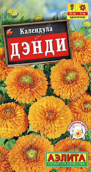 Календула Дэнди - фото Календула Дэнди - фото