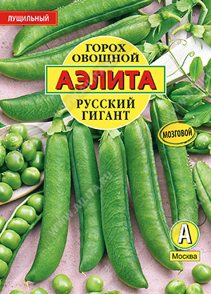 Горох овощной Русский гигант - фото Горох овощной Русский гигант - фото