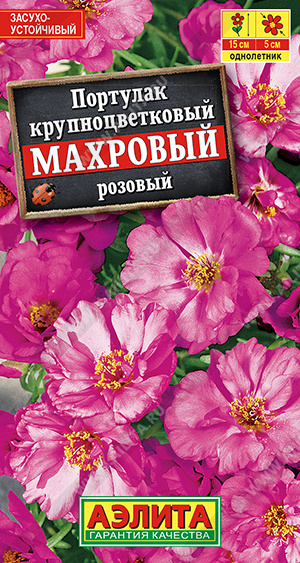 Портулак махровый розовый - фото Портулак махровый розовый - фото