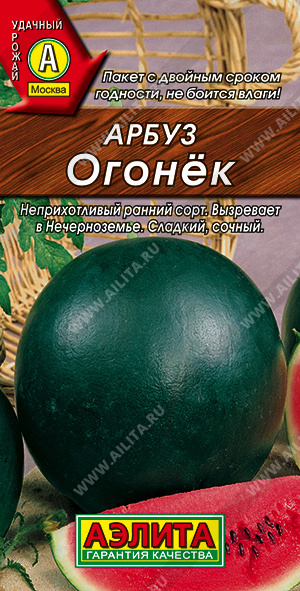 Арбуз Огонек - фото Арбуз Огонек - фото