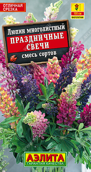 Люпин Праздничные свечи, смесь сортов - фото Люпин Праздничные свечи, смесь сортов - фото