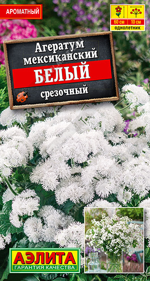 Агератум мексиканский белый срезочный - фото Агератум мексиканский белый срезочный - фото