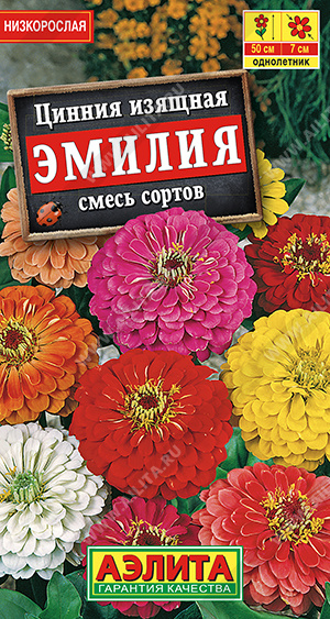 Цинния Эмилия, смесь сортов - фото Цинния Эмилия, смесь сортов - фото