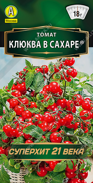Томат Клюква в сахаре - фото Томат Клюква в сахаре - фото