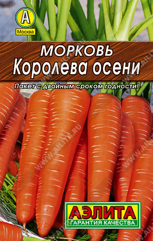 Морковь Королева осени - фото Морковь Королева осени - фото