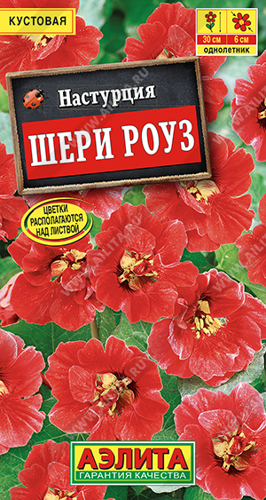 Настурция Шери Роуз карликовая - фото Настурция Шери Роуз карликовая - фото