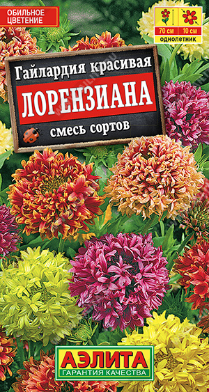 Гайлардия Лорензиана, смесь сортов - фото Гайлардия Лорензиана, смесь сортов - фото