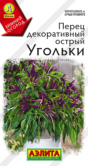 Перец декоративный острый Угольки - фото Перец декоративный острый Угольки - фото