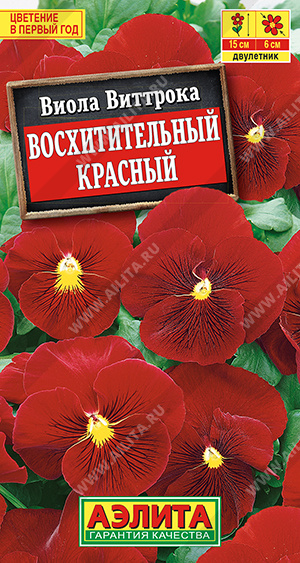 Виола Восхитительный красный - фото Виола Восхитительный красный - фото