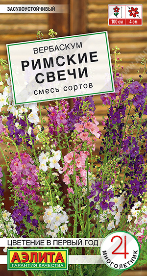 Вербаскум Римские свечи, смесь сортов - фото Вербаскум Римские свечи, смесь сортов - фото