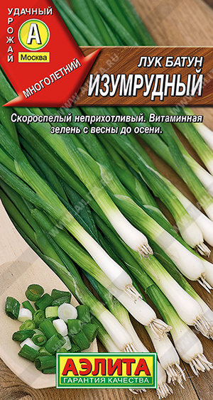 Лук батун Изумрудный - фото Лук батун Изумрудный - фото