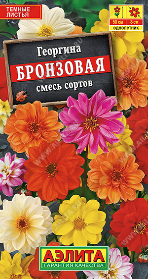 Георгина Бронзовая, смесь сортов - фото Георгина Бронзовая, смесь сортов - фото
