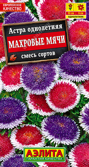 Астра Махровые мячи, смесь сортов - фото Астра Махровые мячи, смесь сортов - фото