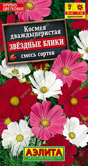 Космея Звездные блики, смесь сортов - фото Космея Звездные блики, смесь сортов - фото