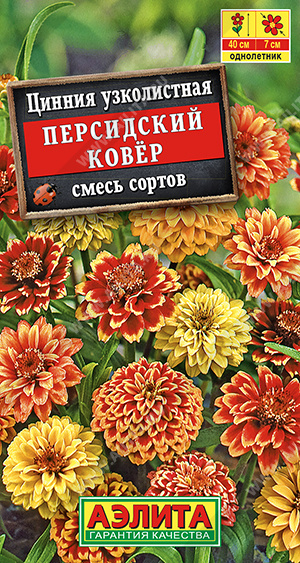 Цинния Персидский ковер, смесь сортов - фото Цинния Персидский ковер, смесь сортов - фото