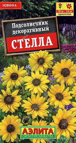 Подсолнечник декоративный Стелла - фото Подсолнечник декоративный Стелла - фото