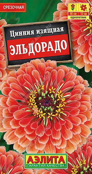 Цинния Эльдорадо - фото Цинния Эльдорадо - фото
