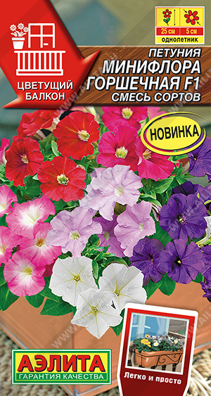 Петуния Минифлора горшечная F1, смесь сортов - фото Петуния Минифлора горшечная F1, смесь сортов - фото