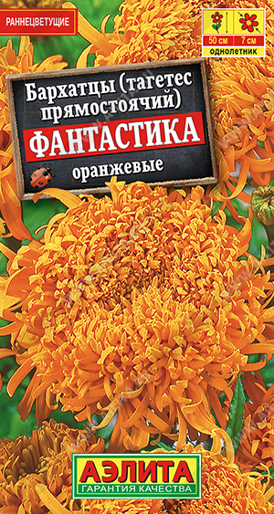 Бархатцы Фантастика оранжевые - фото Бархатцы Фантастика оранжевые - фото